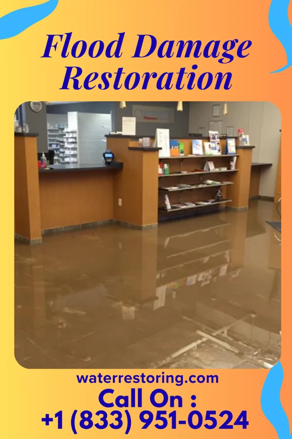 Flood Damage Restoration in Eden Roc, HI