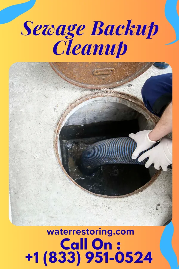 Sewage Backup Cleanup in Eden Roc, HI