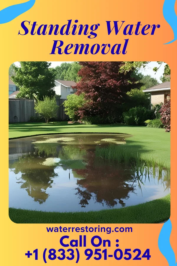Standing Water Removal in Eden Roc, HI